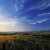 vast-open-fields-in-the-beautiful-gianluca-colla