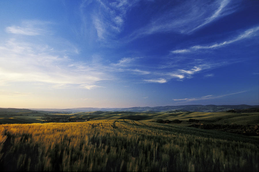 vast-open-fields-in-the-beautiful-gianluca-colla